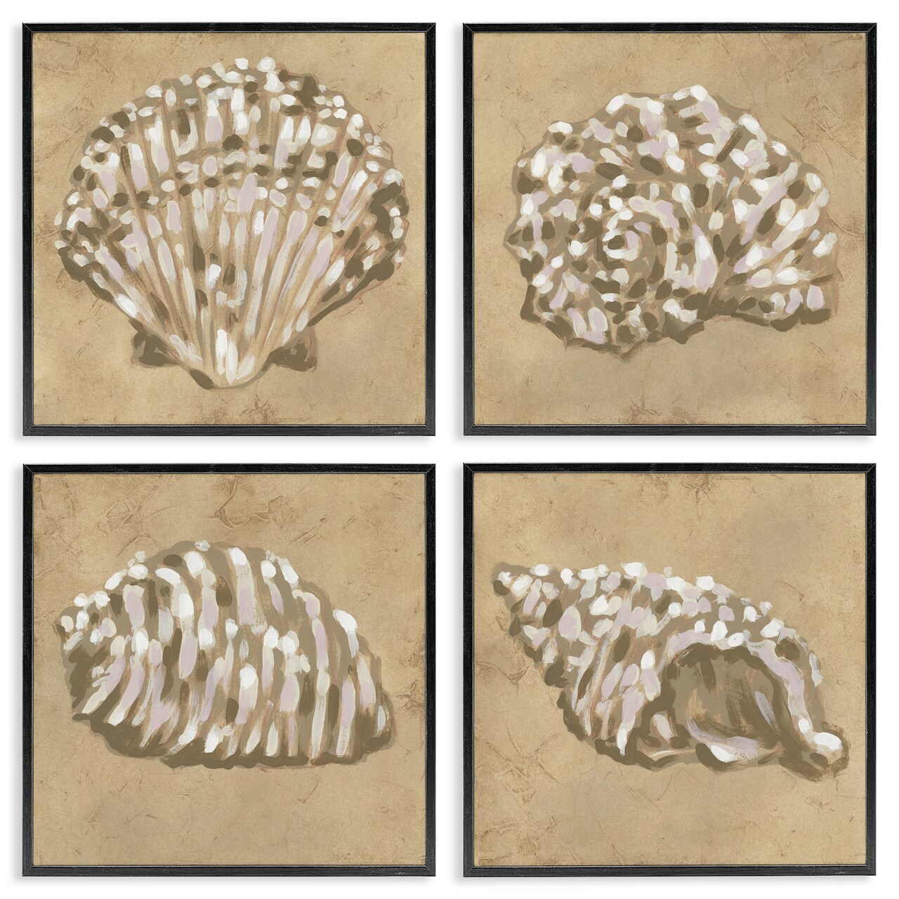 Stupell Industries Seashells in Earth Tones 4pc Framed Giclee Set, design by June Erica Vess
